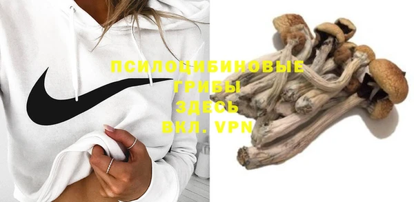 крисы Верея