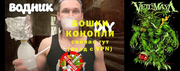 крисы Верея