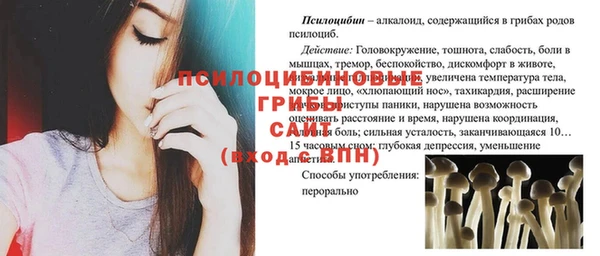 крисы Верея